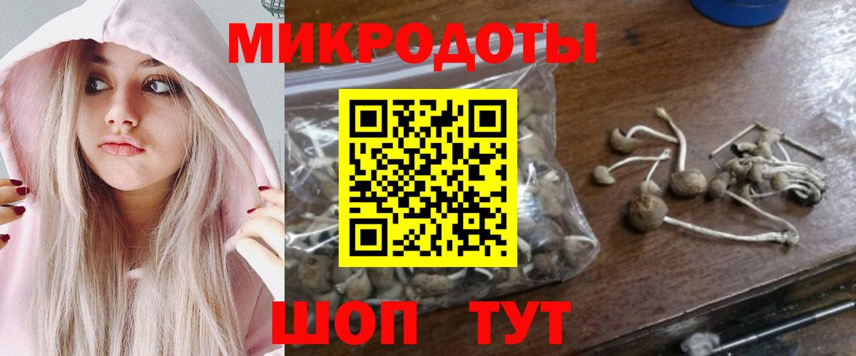Псилоцибиновые грибы Psilocybe  Вход с VPN  Нарткала 